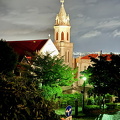 IMG 7885